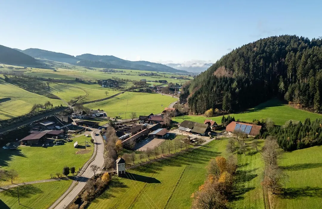 Pension Haus Rose-1